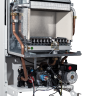 Siberia Dream 20 CBF